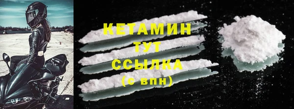 шишки Няндома