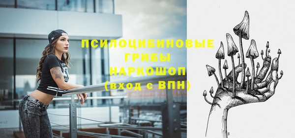 2c-b Алексин