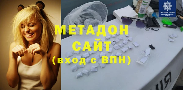 шишки Няндома
