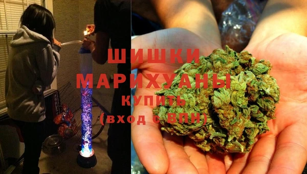 прущие грибы Алзамай